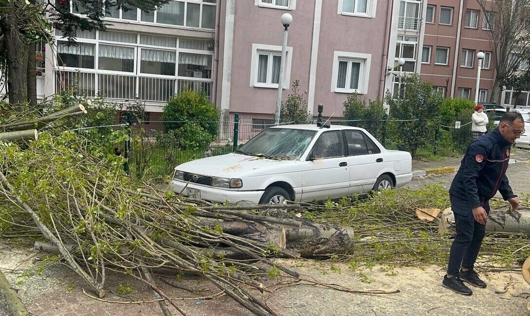 İSTANBUL (AA) – Beylikdüzü'nde şiddetli rüzgar nedeniyle devrilen ağaç, park