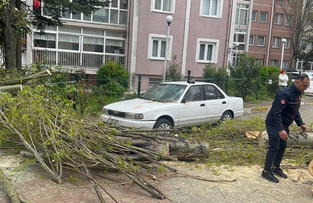 İSTANBUL (AA) – Beylikdüzü'nde şiddetli rüzgar nedeniyle devrilen ağaç, park