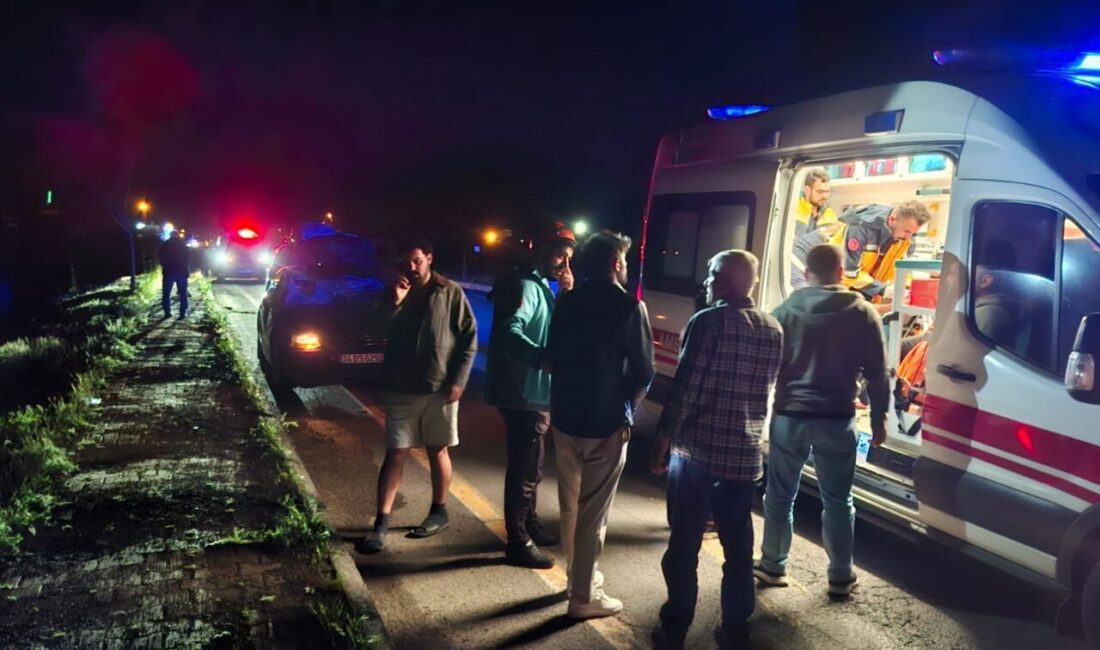 BİNGÖL (AA) – Bingöl’de 3 aracın büyükbaş hayvanlara çarpması sonucu