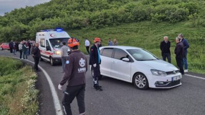 BİNGÖL (AA) – Bingöl'de iki otomobilin çarpışması sonucu 8 kişi