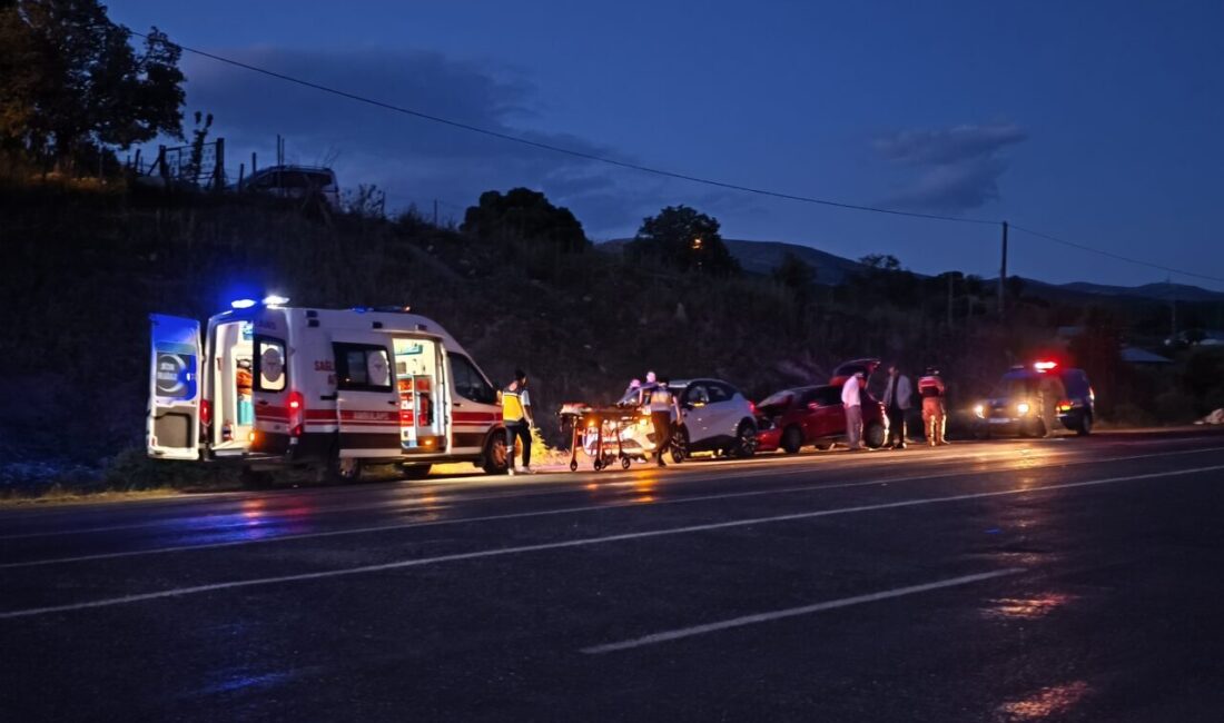 BİNGÖL (AA) – Bingöl'de otomobilin ineğe çarpması sonucu 1 kişi