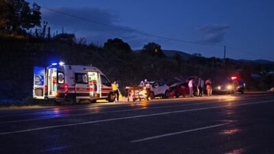BİNGÖL (AA) – Bingöl'de otomobilin ineğe çarpması sonucu 1 kişi