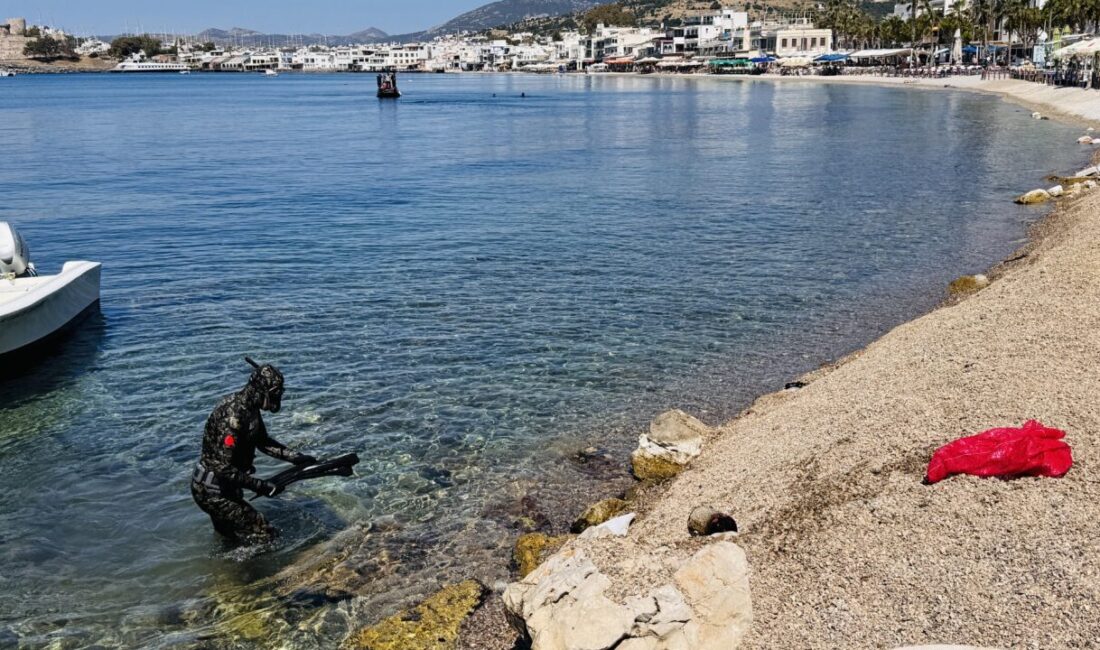 MUĞLA (AA) – Muğla'nın Bodrum ilçesinde düzenlenen etkinlikte dalgıçlar, deniz