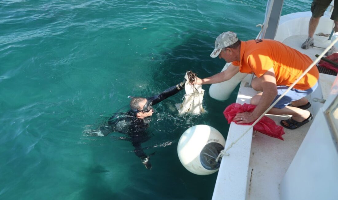 MUĞLA (AA) – Muğla'nın Bodrum ilçesinde düzenlenen çevre temizliği etkinliğinde