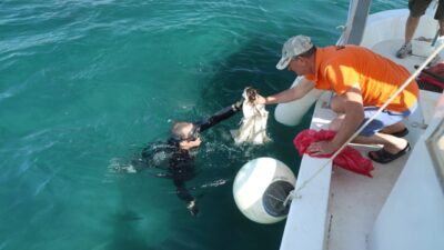 MUĞLA (AA) – Muğla'nın Bodrum ilçesinde düzenlenen çevre temizliği etkinliğinde