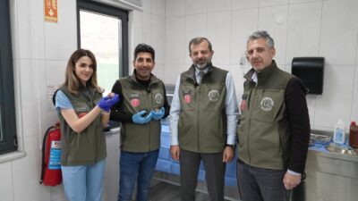BURSA (AA) – Bursa'nın Gürsu ilçesinde, doğum sonrası kendi yavrularının