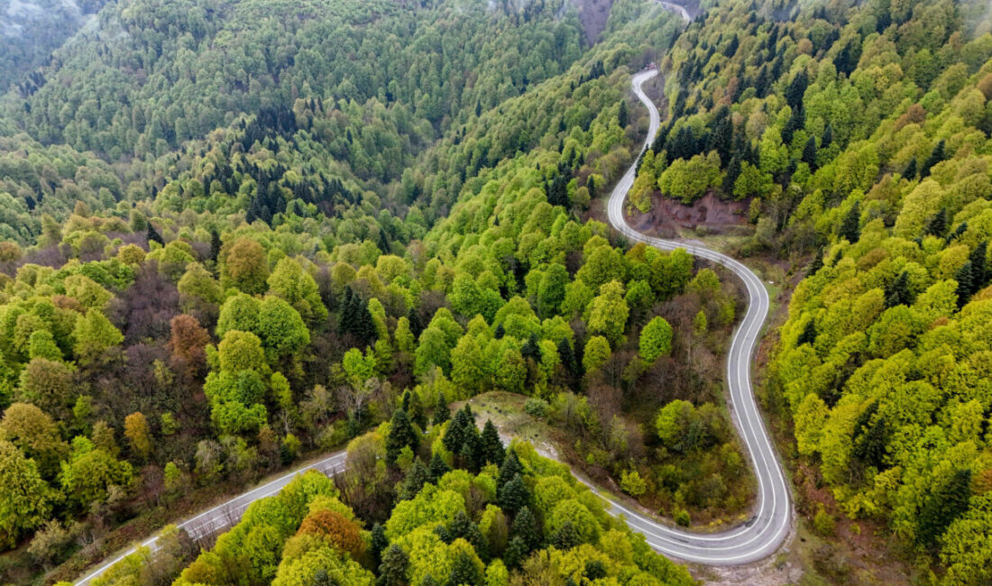 SAKARYA (AA) – Sakarya'nın Kocaali ve Hendek ilçeleri arasında yer