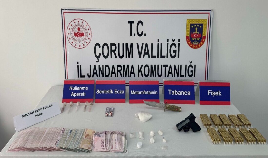 ÇORUM (AA) – Çorum'da bir suç örgütüne yönelik operasyonda gözaltına