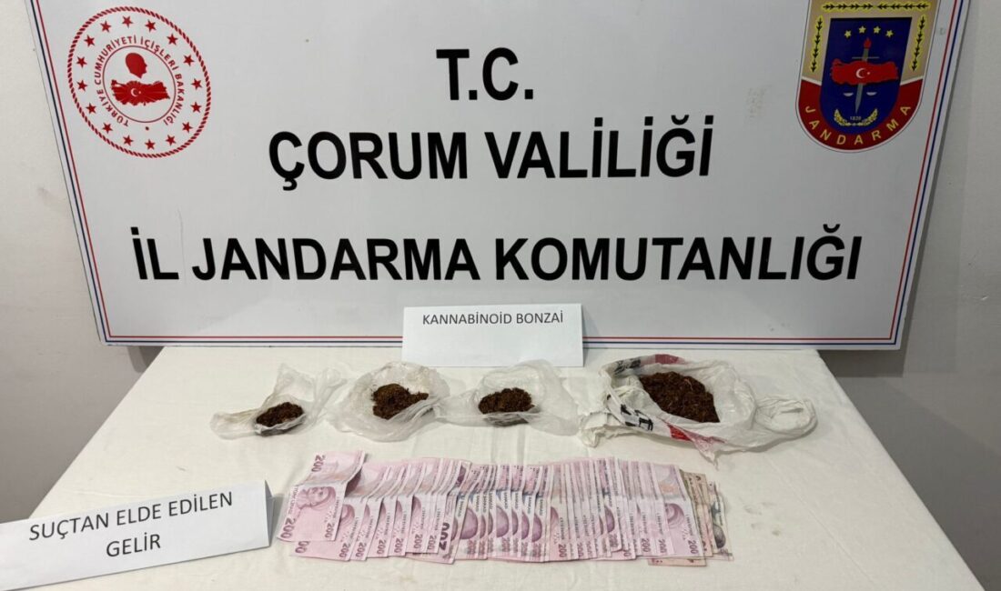 ÇORUM (AA) – Çorum'un Alaca ilçesinde düzenlenen uyuşturucu operasyonunda 3
