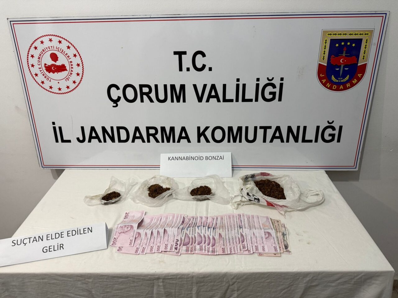ÇORUM (AA) – Çorum'un Alaca ilçesinde düzenlenen uyuşturucu operasyonunda 3