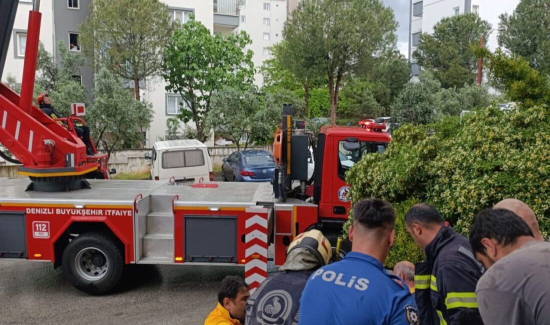 DENİZLİ (AA) – Denizli'nin Merkezefendi ilçesinde çatıya yıldırım düşmesi sonucu