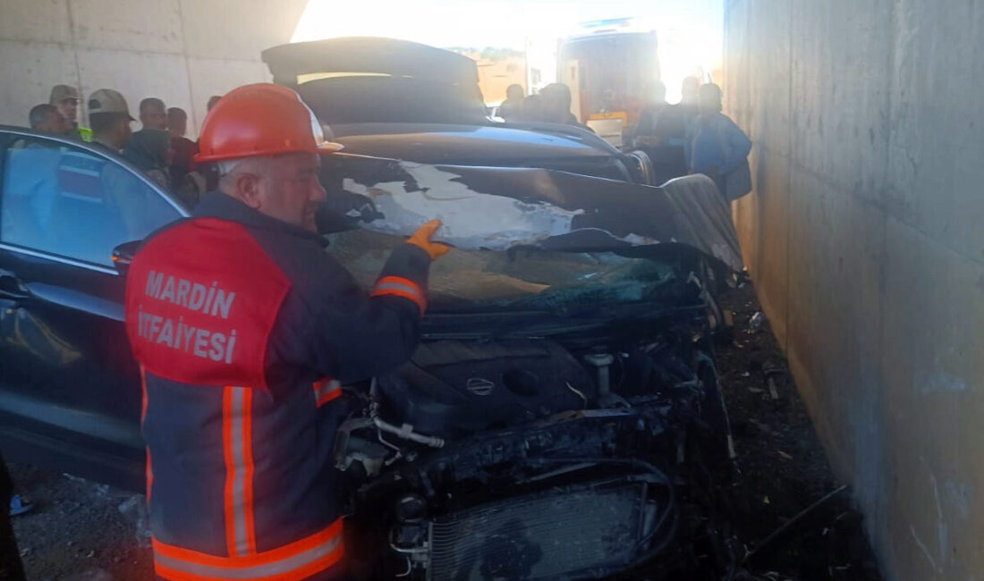 DİYARBAKIR (AA) – Diyarbakır'ın Çınar ilçesinde SUV tipi aracın alt