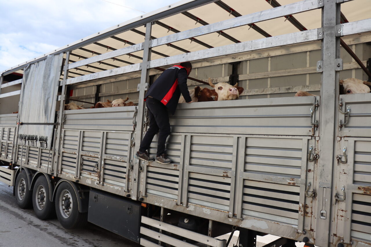 ERZİNCAN (AA) – Kurban Bayramı öncesi Doğu Anadolu Bölgesi'nden batıdaki
