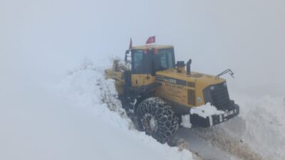DÜZCE (AA) – Düzce'nin Gölyaka ilçesinde yaylada mahsur kalan 7