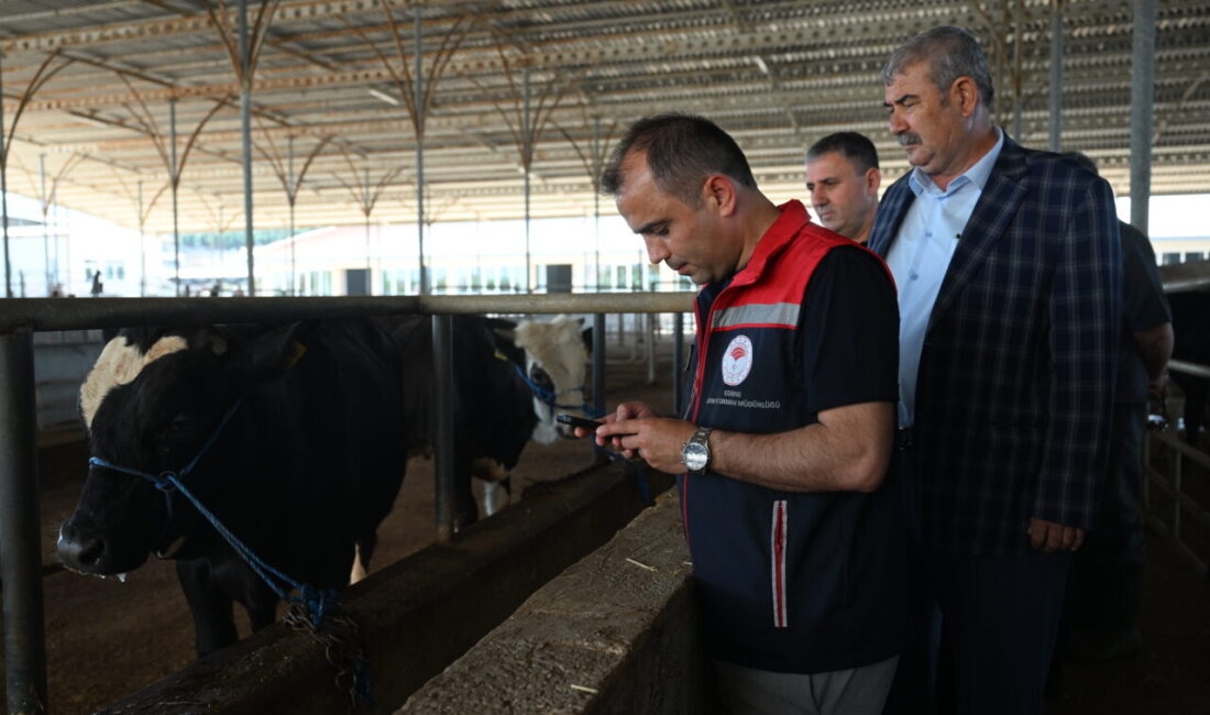 EDİRNE (AA) – Edirne Tarım ve Orman Müdürlüğü ekipleri, kurban
