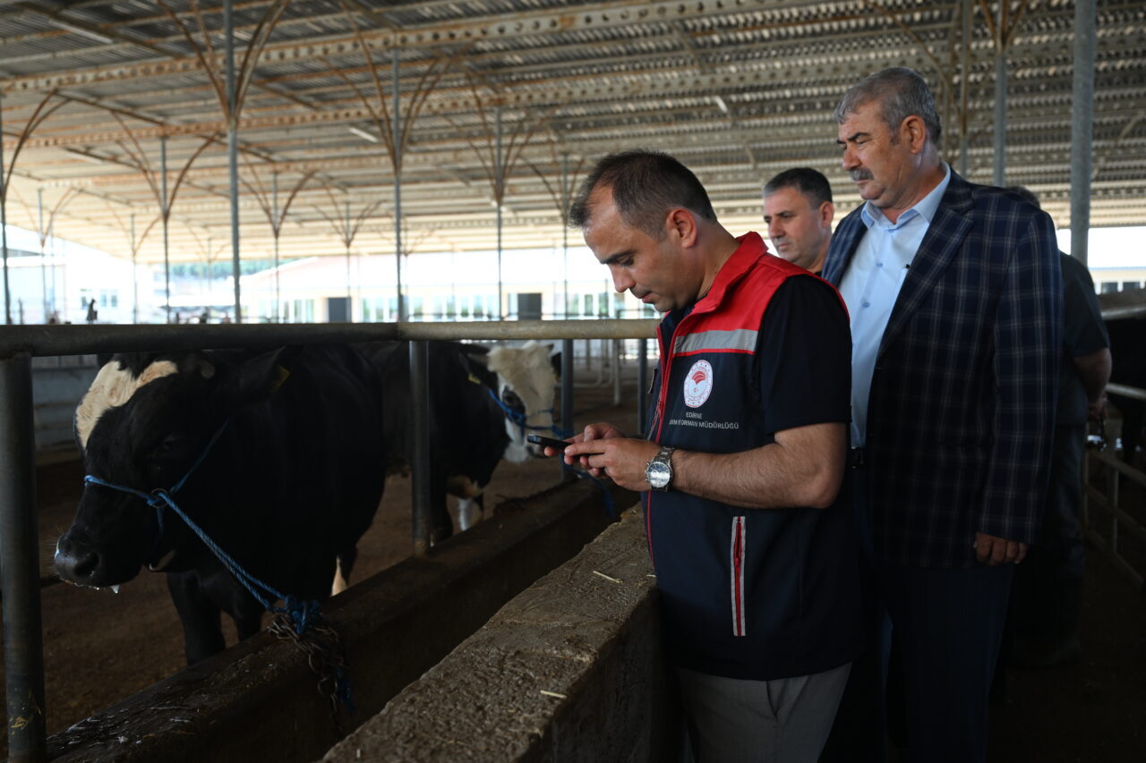 EDİRNE (AA) – Edirne Tarım ve Orman Müdürlüğü ekipleri, kurban