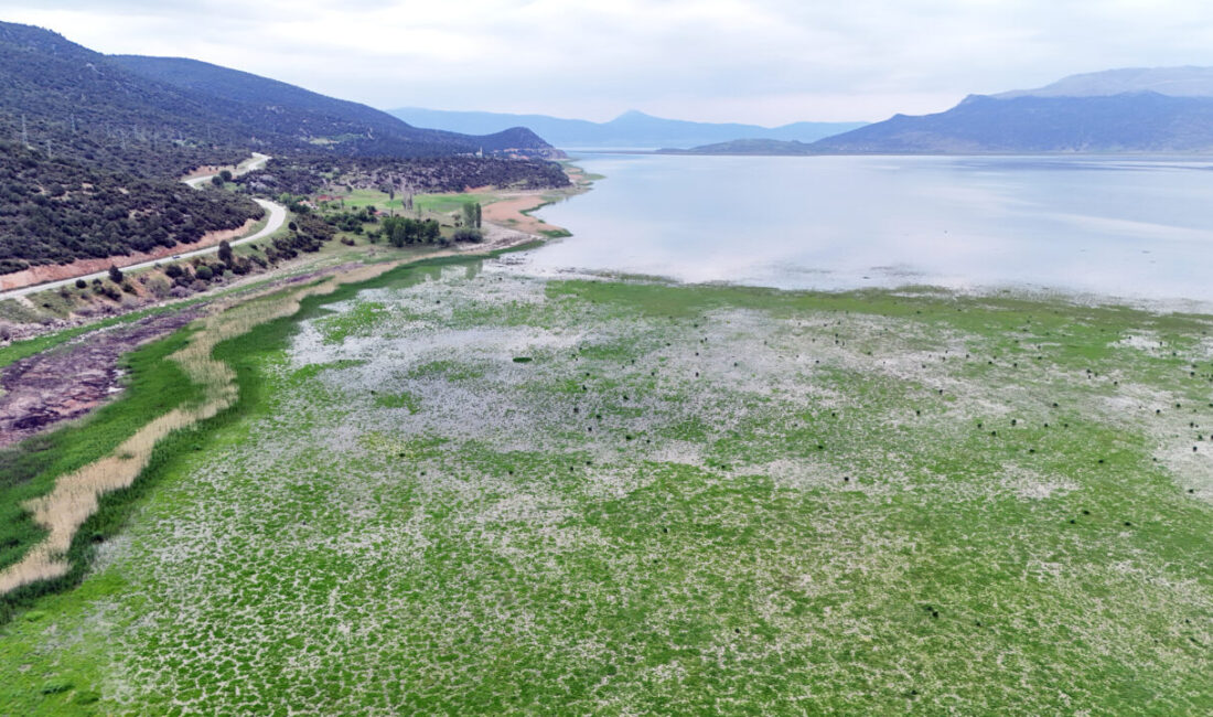 ISPARTA (AA) – Türkiye'nin önemli tatlı su kaynakları arasında bulunan