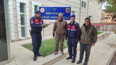 ELAZIĞ (AA) – Elazığ'ın Keban ilçesinde jandarma ekiplerince bulunan yaralı