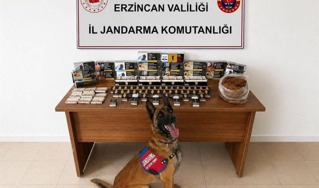 ERZİNCAN (AA) – Erzincan'da jandarma ekiplerinin nisan ayı içerisinde gerçekleştirdiği