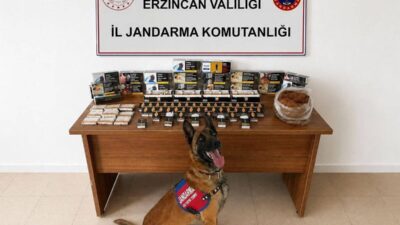 ERZİNCAN (AA) – Erzincan'da jandarma ekiplerinin nisan ayı içerisinde gerçekleştirdiği