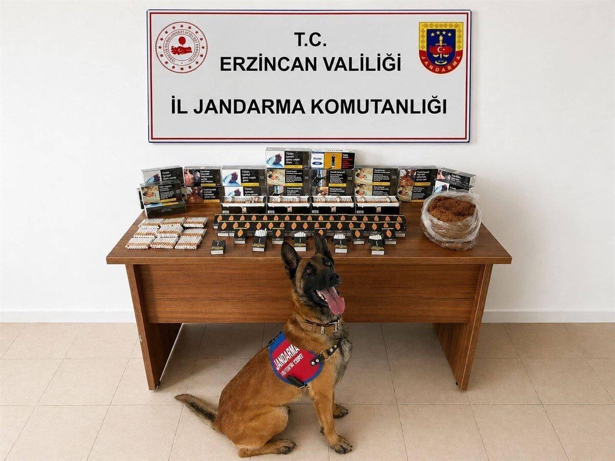 ERZİNCAN (AA) – Erzincan'da jandarma ekiplerinin nisan ayı içerisinde gerçekleştirdiği