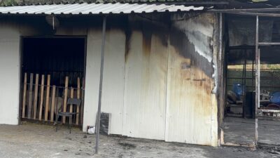 İSTANBUL (AA) – Eyüpsultan'da adak kurban satış merkezinde çıkan yangında