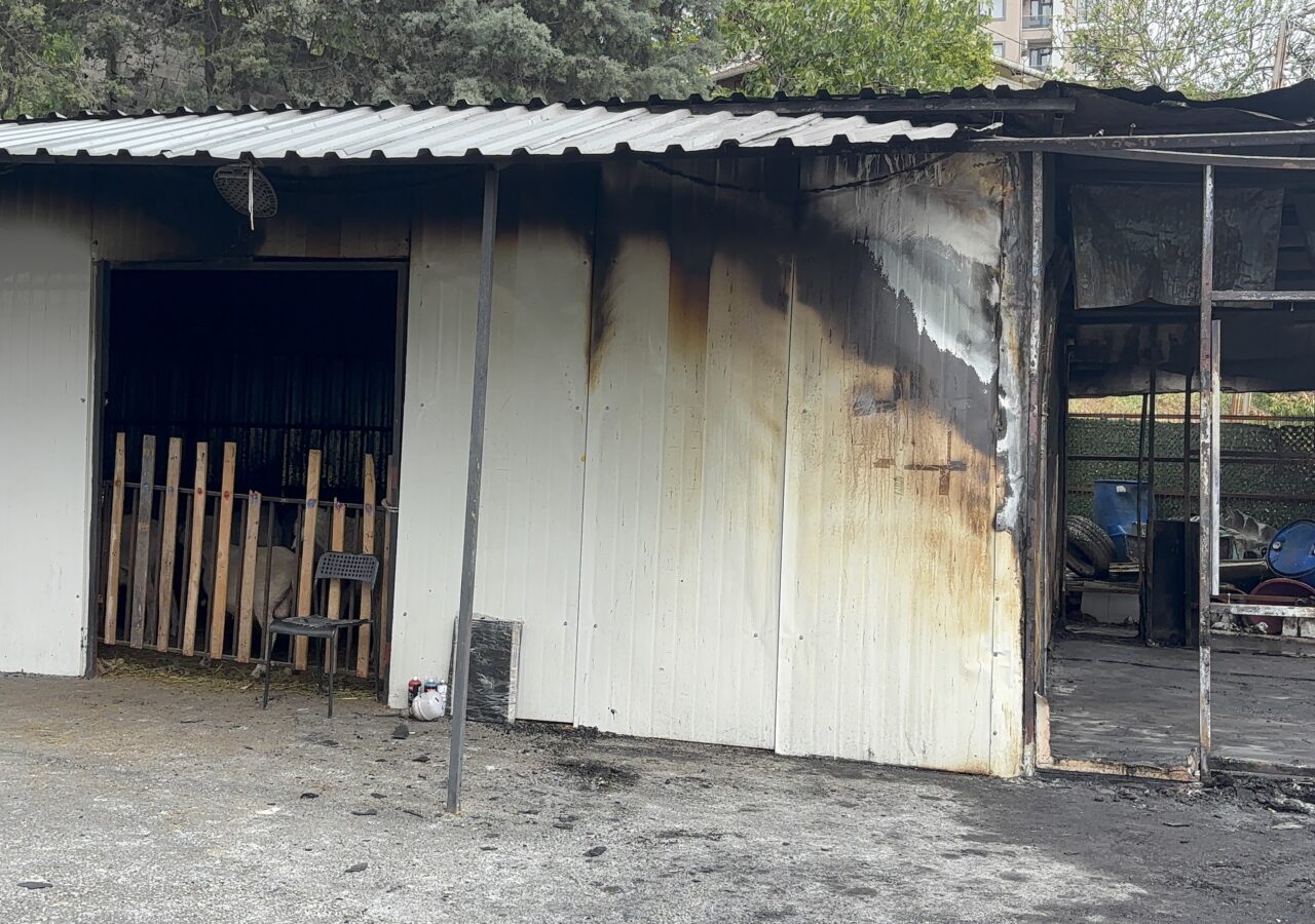 İSTANBUL (AA) – Eyüpsultan'da adak kurban satış merkezinde çıkan yangında
