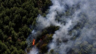 MUĞLA (AA) – Muğla'nın Fethiye ilçesinde ormanlık alanda çıkan yangına