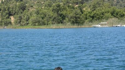 MUĞLA (AA) – Muğla'nın Fethiye ilçesinde düzenlenen etkinlikte dalgıçlar deniz