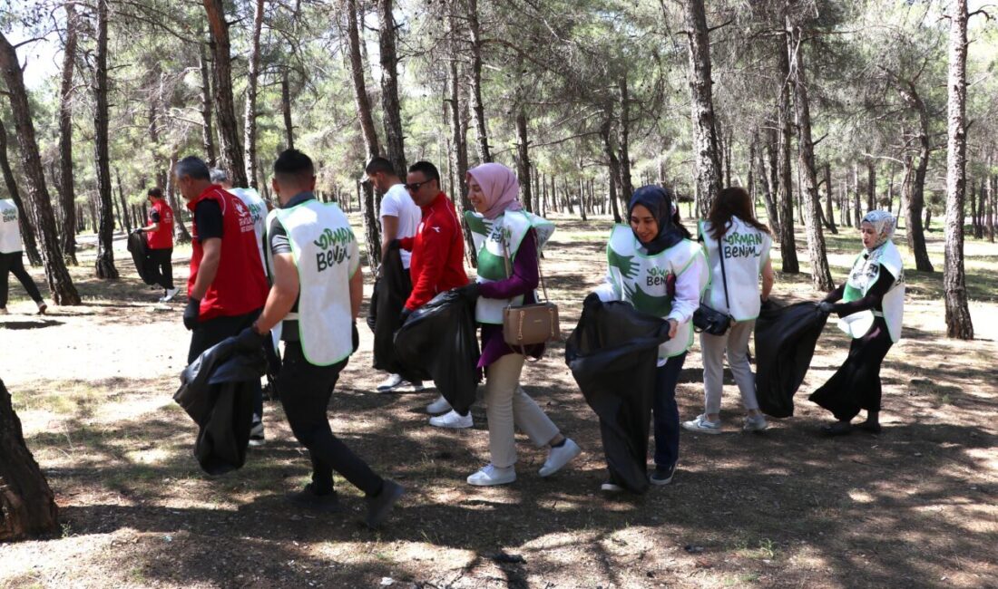 GAZİANTEP (AA) – Gaziantep, Şanlıurfa, Malatya, Kilis ve Kahramanmaraş'ta "Orman