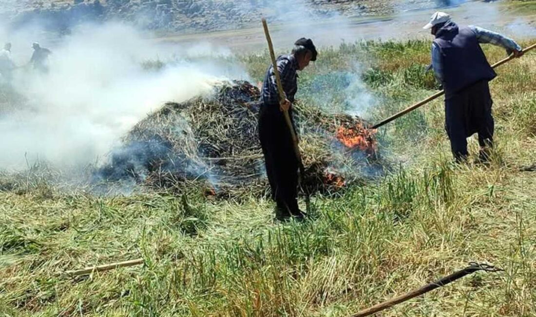 GAZİANTEP (AA) – Gaziantep'in Araban ilçesinde, kentin coğrafi işaret tescilli