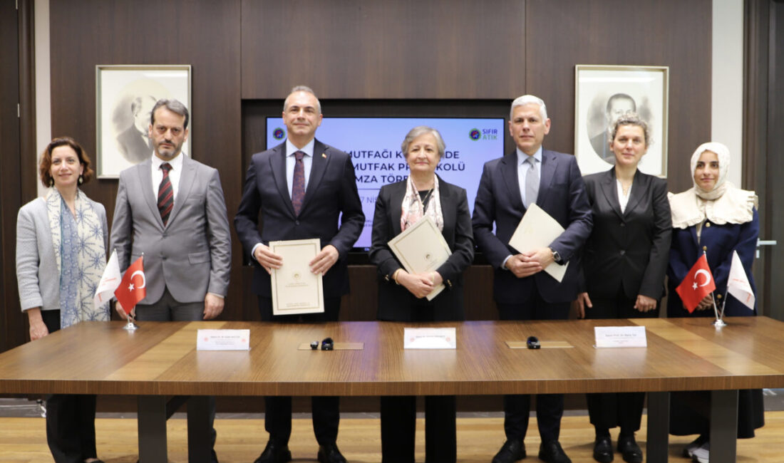 - İstanbul Çevre, Şehircilik ve İklim Değişikliği İl Müdürlüğü, TOGEM-DER