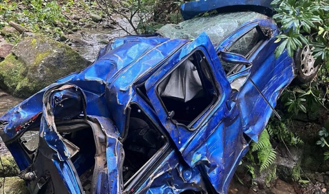 GİRESUN (AA) – Giresun'un Espiye ilçesinde kamyonetin dereye yuvarlandığı kazada