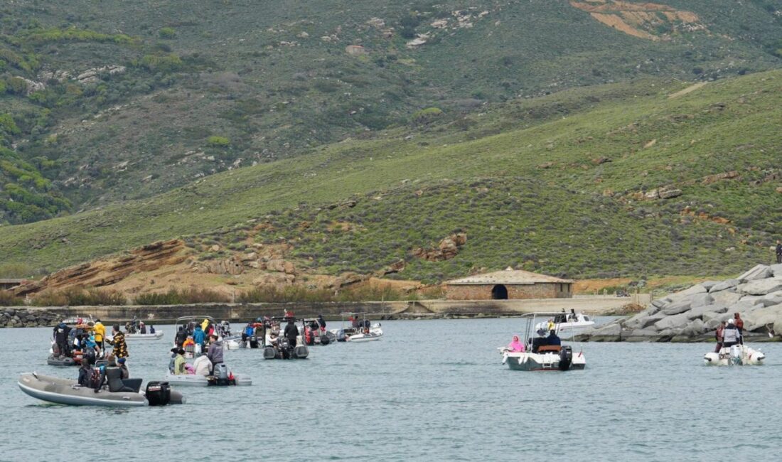 ÇANAKKALE (AA) – Türkiye Sualtı Sporları Federasyonunca Gökçeada'da Zıpkınla Balık