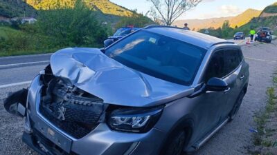 GÜMÜŞHANE (AA) – Gümüşhane'de otomobilin çarptığı yaya yaşamını yitirdi. Merkeze