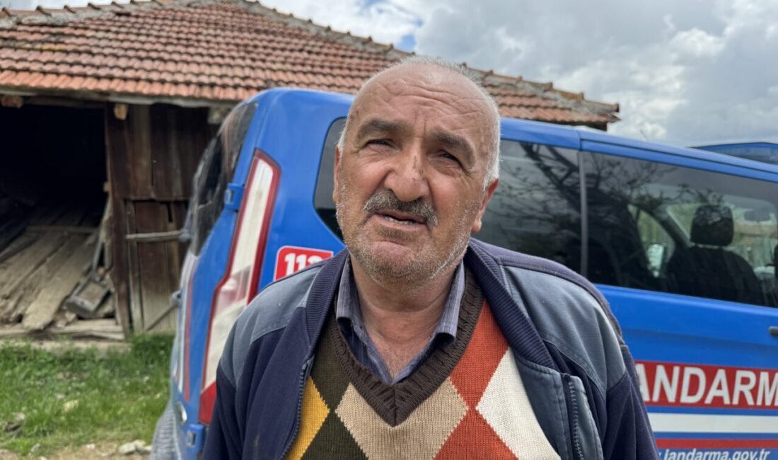 - İlk belirlemelere göre 1 büyükbaş ile 50'den fazla küçükbaş