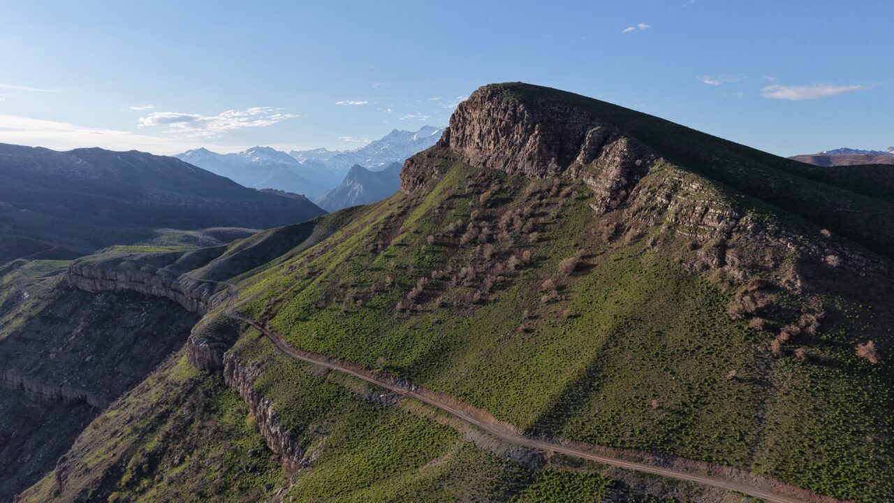 HAKKARİ (AA) – Hakkari'nin Derecik ilçesindeki Sılo Yaylası, bugünlerde açan