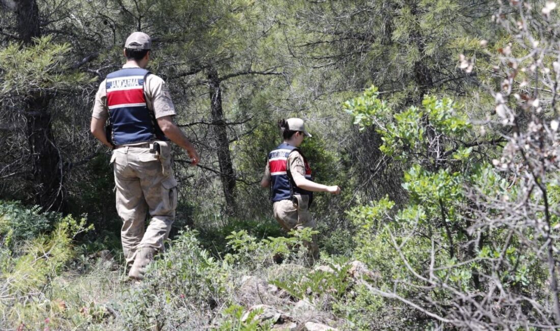 HATAY (AA) – Hatay'ın merkez Antakya ilçesinde 19 Şubat'tan bu