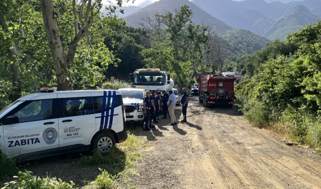 HATAY (AA) – Hatay'ın Kırıkhan ilçesinde çıkan orman yangını ekiplerin