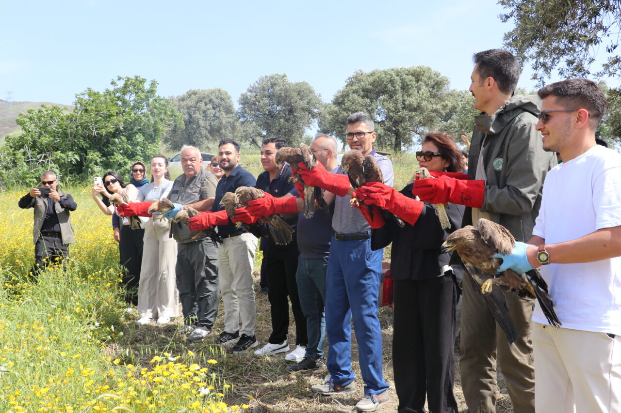 HATAY (AA) – Hatay'da yaralı ve bitkin halde bulunan 15