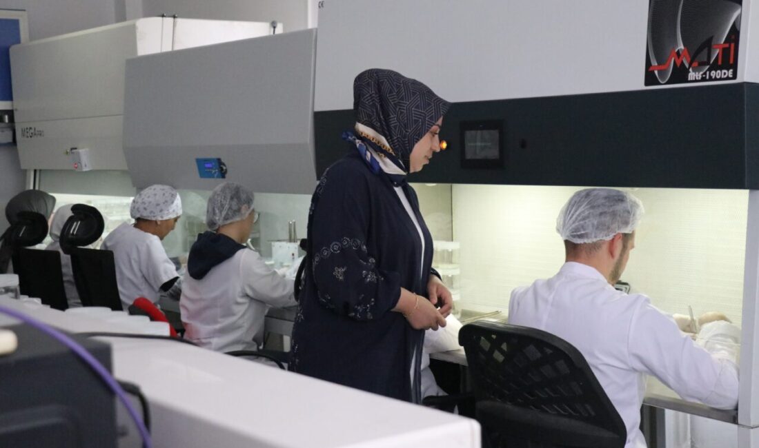 - ISUBÜ Ziraat Fakültesi Bahçe Bitkileri Bölümü Öğretim Üyesi Prof.