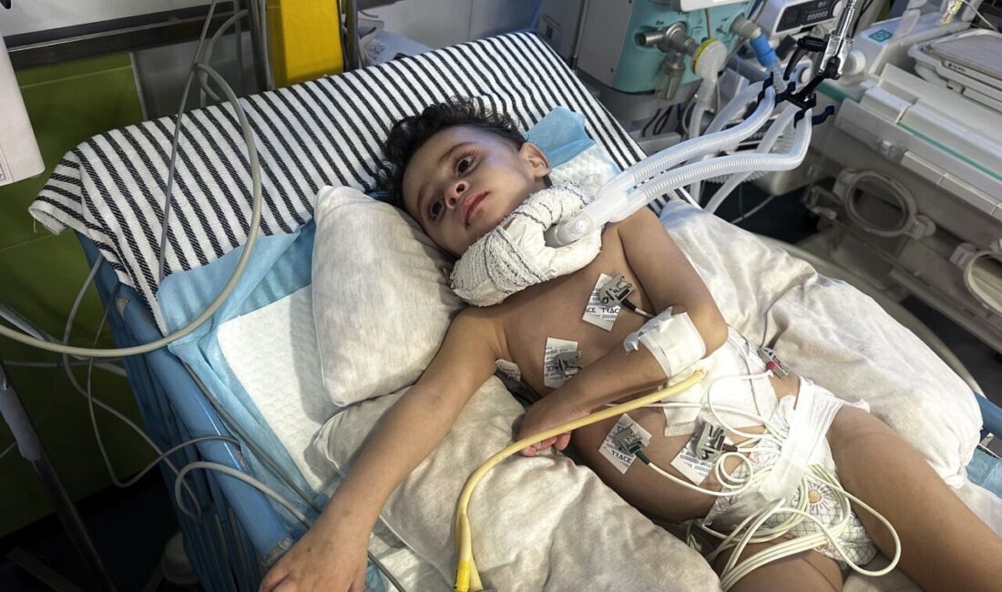 - Salim'in babası Ali en-Neccar:
- "Eğer oğlum burada daha fazla