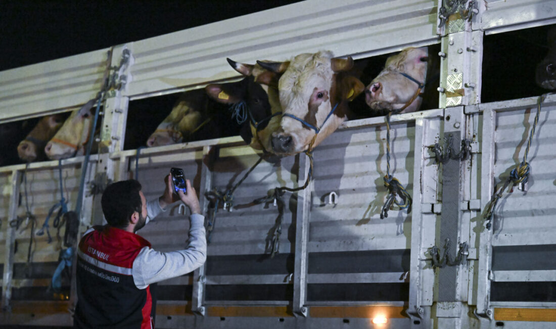 - İstanbul İl Tarım ve Orman Müdürü Suat Parıldar:
- "Kurban