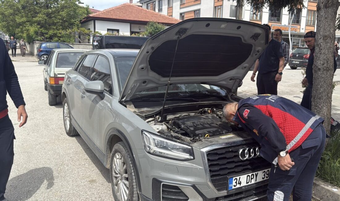 ERZİNCAN (AA) – Erzincan'da aracın motor kısmına saklanarak itfaiye ekiplerini
