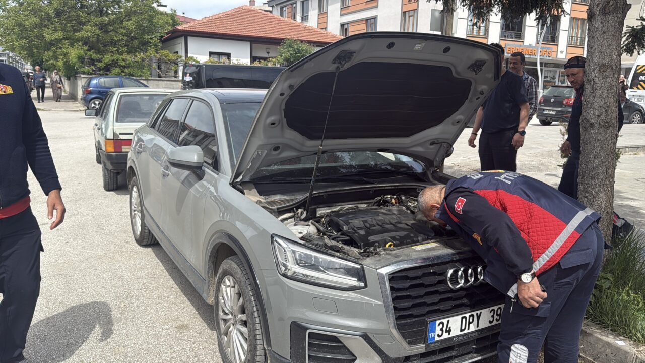 ERZİNCAN (AA) – Erzincan'da aracın motor kısmına saklanarak itfaiye ekiplerini