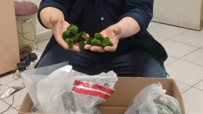 EDİRNE (AA) – Kapıkule'de yolcu otobüsünde yurda kaçak yollarla sokulmak