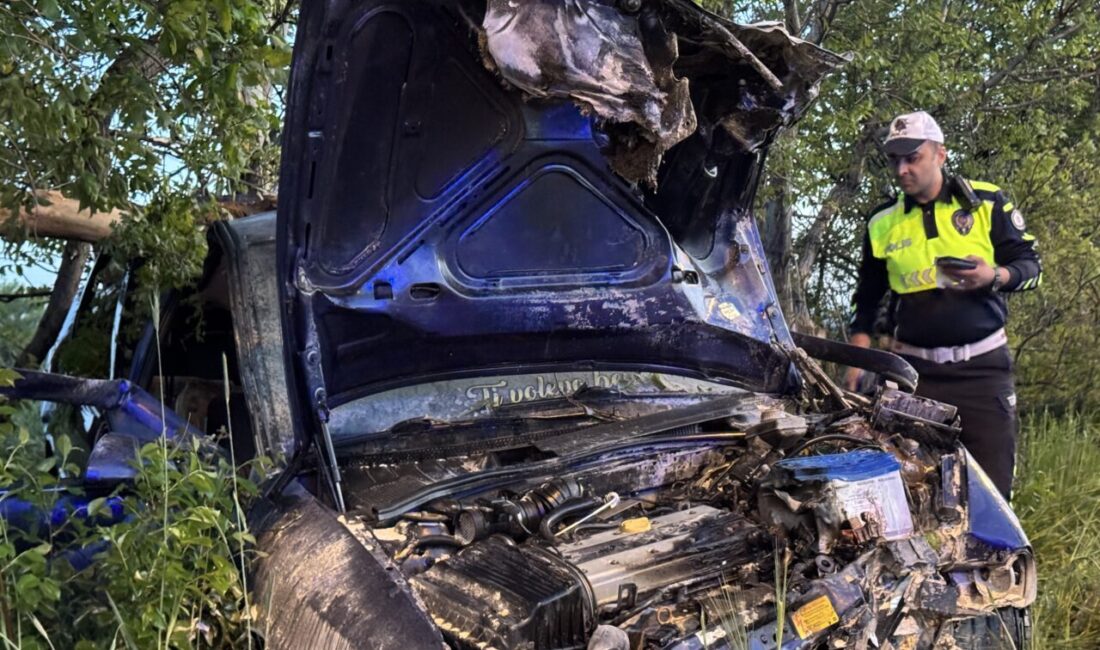 KARAMAN (AA) – Karaman'da otomobilin şarampole devrilmesi sonucu 1 kişi