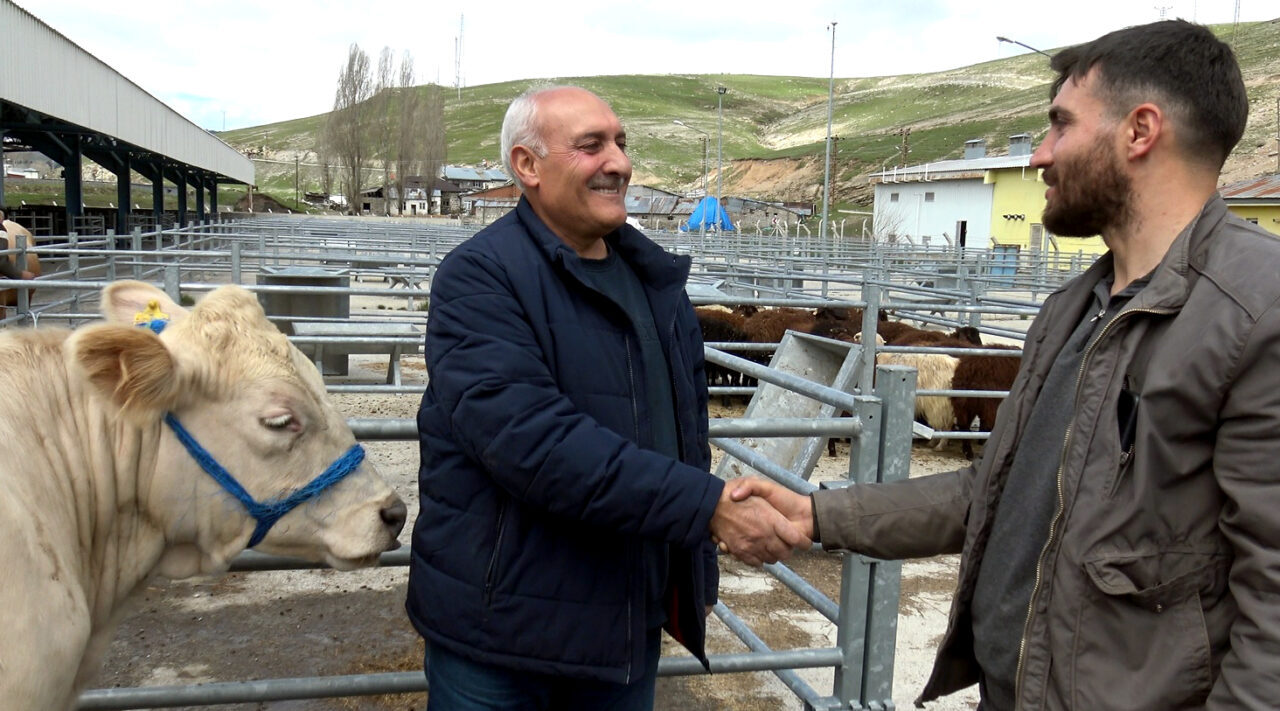 KARS (AA) – Kars'ta, Kurban Bayramı'na sayılı günler kala canlı