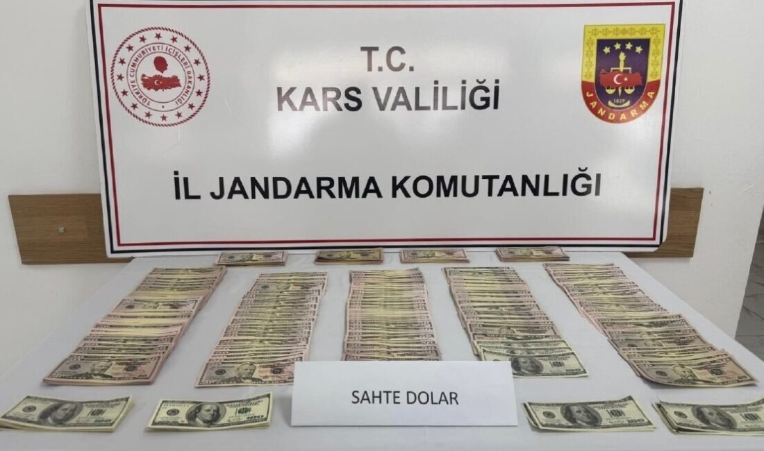 KARS (AA) – Kars'ta düzenlenen operasyonda sahte 51 bin 400