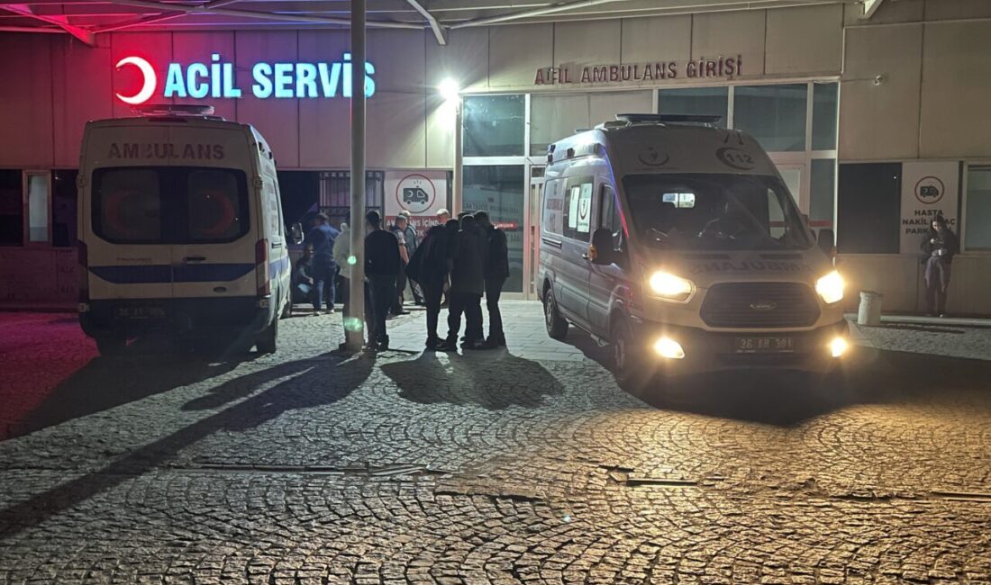 KARS (AA) – Kars’ın Arpaçay ilçesinde çocukların oynadığı tüfeğin kazara